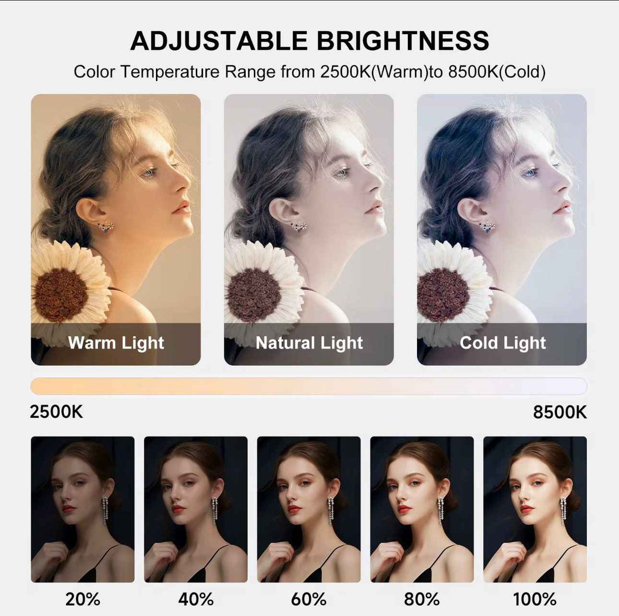 20W Selfie Portable Phone Rechargeable Ring Light | Adjustable Fill Light with Bluetooth | Tripod Light Stand for Live Stream